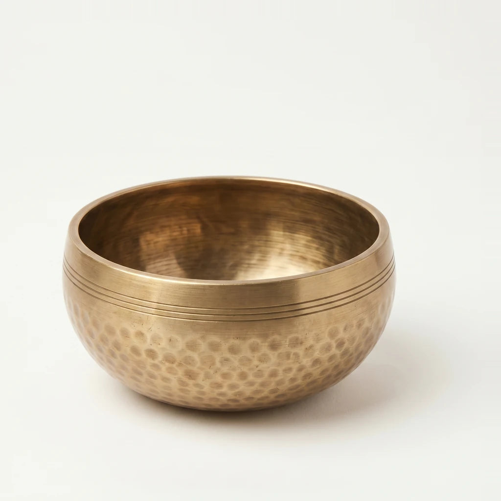 Hand-Forged Bronze Singing Bowl for Reset